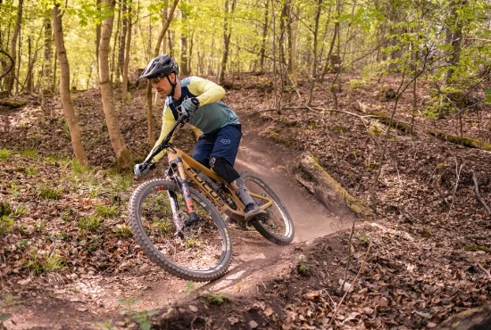 Uncover the Hidden Gems: Attractions and Activities in Westfield, MA